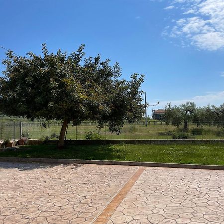 Вилла La Casa Di Michela Торино-ди-Сангро Экстерьер фото